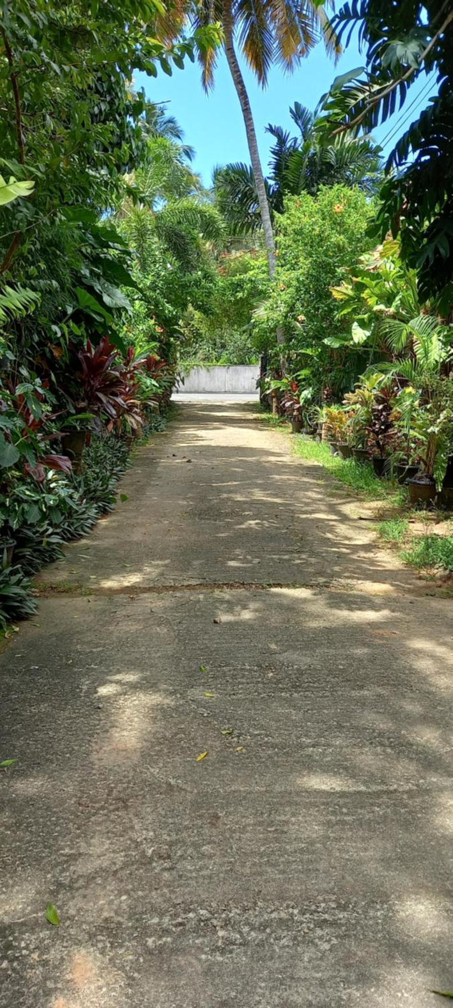 Nooit Gedacht Holiday Resort Unawatuna Exterior foto